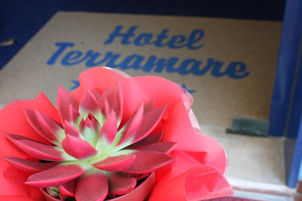 Hotel Terramare Lido di Jesolo